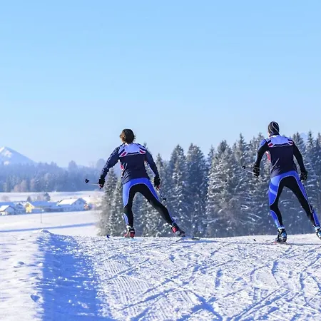 Lively In شقة